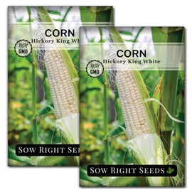 Sow Right Seeds - Hickory King White Corn Seeds for Planting - Non-GMO Heirloom Packet with Instructions to Plant & Grow an Outdoor Home Vegetable Garden - Rare Cream Color, Large Stalks and Ears (2)