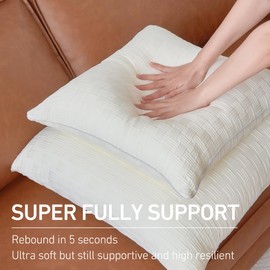 Leeden 20x20 Pillow Inserts Set of 2-20 Inch Decorative Throw Pillow Insert, Soft Fluffy Square Throw Pillows for Couch Bed, Beige Couch Pillow Insert Pair