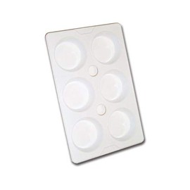 6-Well Economy Paint Palette