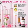 EVOKE OCCU Pure & Natural Geranium Essential Oil for Skin,