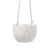 Burgon & Ball 'Dot' Hanging Pot
