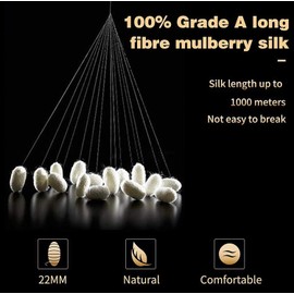 RUIPTSKE Natural Silk Federa, ipoallergenico, 22momme, 100% Seta, 600 Filati, con a Scomparsa Cerniera (Pink, 50x75cm)