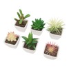 6PCS Potted Artificial Succulents Artificial Plants in Pots Plastic Fake