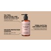 Healthy Head Shampoo