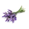 OPO Lavender Water Hydrosol - Pure Steam Distilled Natural Non
