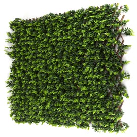 3rd Street Inn™ Leaf Trellis - Bamboo Greenery Panel - Boxwood and Ivy Privacy Fence Substitute - DIY Flexible Fencing (1, Wintergreen)