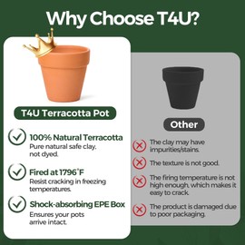 T4U 4 Inch Shallow Terracotta Pots, 6 Pcs Small Clay Pots for Plants with Drainage Holes and Saucer, Terracotta Plant Pots Bulk, Terra Cotta Pots for Succulent Cactus, Indoor, Outdoor, Wedding Favor