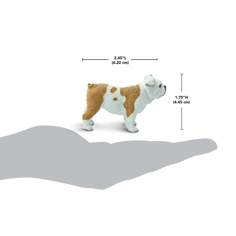 Safari Ltd. Bulldog Figurine - Lifelike 2.25" Model Figure -