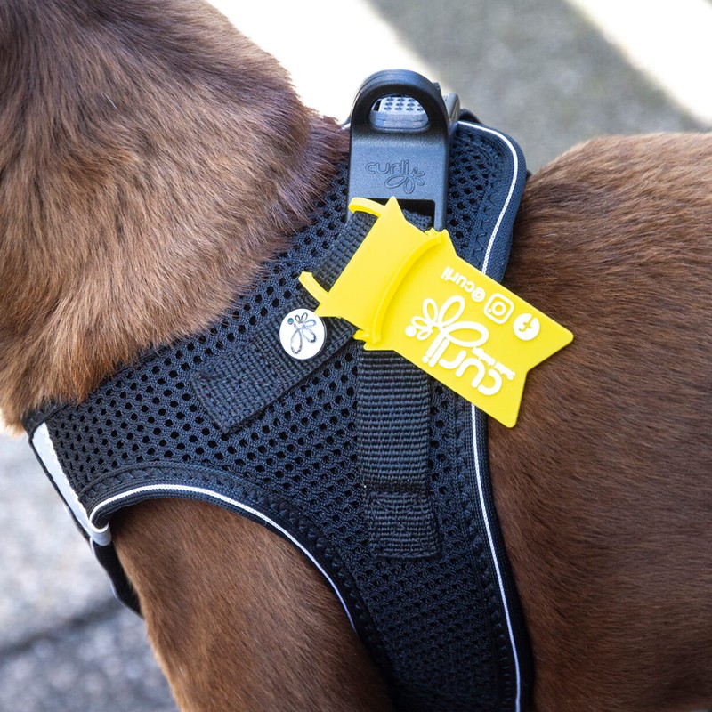 curli Classic Vest Harness Air Mesh with curli D-Ring Buckle,