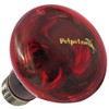 Zensui Strong Infrared Heat Lamp 40W 1 Pack (x1)