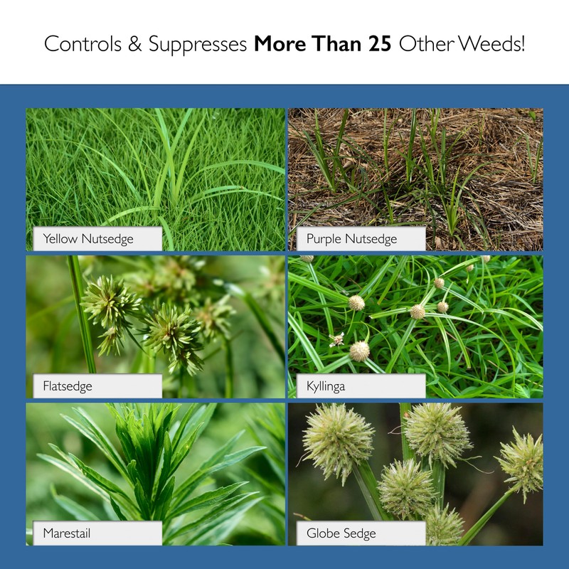 Sedgehammer Plus Turf Herbicide - 4 Pack of 13.5 Gram