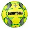 DERBYSTAR Futsal Ball No. 4 Ball BASIC PRO TT FUTSAL