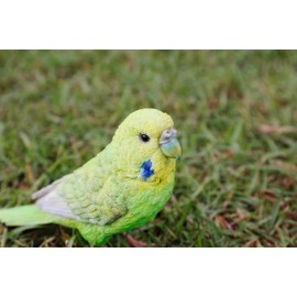 HiLine Gift Ltd. Budgerigar with Iron Foot Green