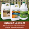 Rid-O-Rust Outdoor Rust Preventer, Concentrated Formula, Prevents Stains Caused by