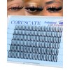 Spikes Lash Clusters 12mm-16mm Lash Clusters with Spikes Fairy