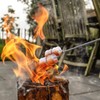 Mluchee 8Pack Marshmallow Roasting Sticks Smores Skewers for Fire Pit