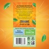 Twinings Pure Peppermint Herbal Tea Individually Wrapped Bags, 20 Count
