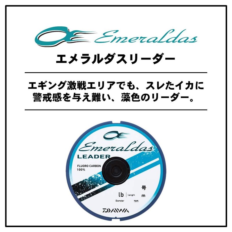 Daiwa Fluoro Line Emeraldas Leader, No. 1.75, 118.4 ft (35