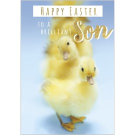Brilliant Son Chicks Happy Easter Card – Golden Foil Detailed Illustration