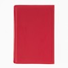 Light G-17 (010) Card Case Red