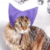 Paquete de 2 gorros de ducha impermeables para gatos, protectores