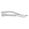 PRECISE CANADA: Dental EXTRACTING Forceps #89 Dental Extraction Instruments