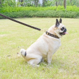 Leather Dog Collar and Leash Set, Check Pattern Dog Collar Leashes Metal Buckle Adjustable Durable for Small Medium Large Dogs (Brown, XL(18-22IN))