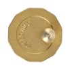 Veumoie Brass Automatic Air Vent Valve 1/2 inch Male Thread