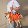 GIIPET-Dog Nursing Harness, Walking Assistance, Elderly Dogs, Injuries, Nursing Supplies,