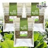 Native Village [Native Village] Domestic morel cabbage 300g / 토종마을 [토종마을]국산 곰보배추 300g X 3개