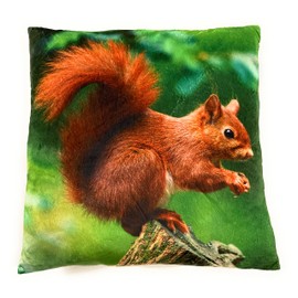 Onwomania Squirrel Tree Squirrel Plush Cushion for Sofa or Bed as Decoration, Decoration or Cuddly Cushion 35 x 35 cm