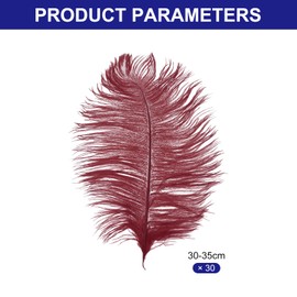 PATIKIL Pack of 30 Natural Ostrich Feathers Wholesale 12-14 Inches / 30-35 cm Large Ostrich Feathers for Crafts, Home Decoration, Wedding Party, Vase Decor (Burgundy)