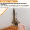 Mold Test Kit for Home Testing: 6 Counts DIY at