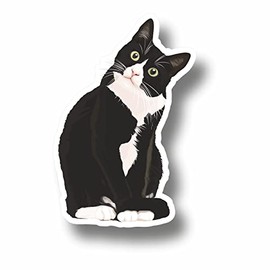 AMA SHOP PVC PVC Cat Sticker for Wall Decals Car Motorcycle Helmet