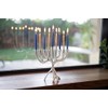 Yair Emanuel Modern Tree of Life Hanukkah Menorah - Diseño