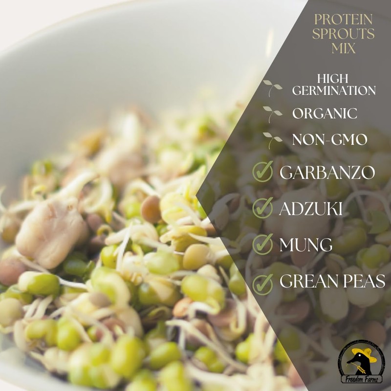 1/2 lbs Protein Bean Sprout Starter Seeds - Over 2000