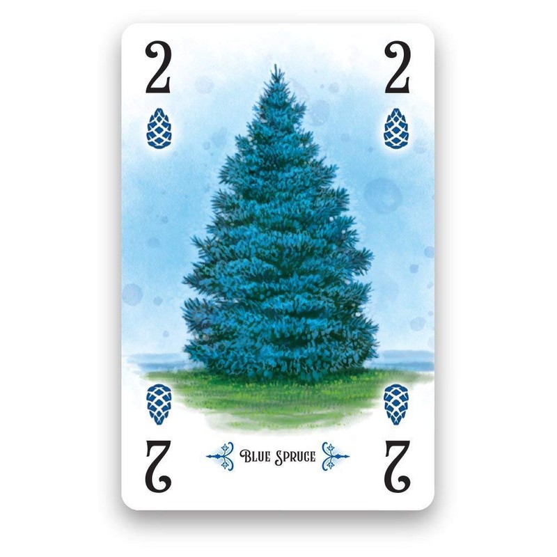 Renegade Game Studios Arboretum Strategy Card Game that Challenges 2-4