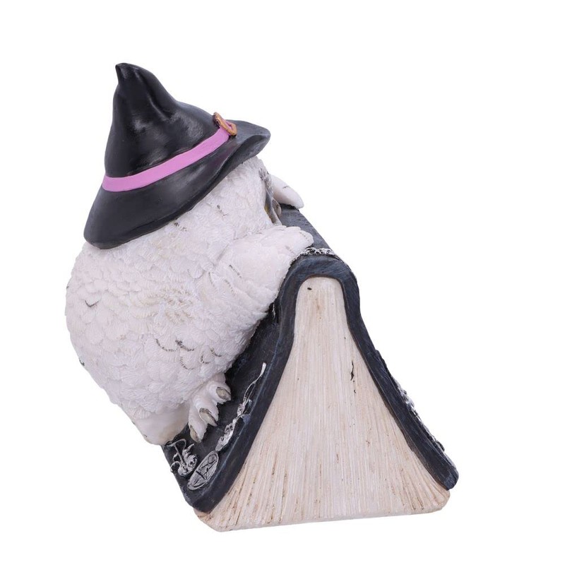 Nemesis Now Owl Magic 15cm Black