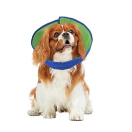 LuojinLuoda Dog Cone, Agemin Recovery Collar Cone Adjustable Size, for Dog Wound Protection and Post-Surgery Care, Soft Fabric Anti-Licking Collar (Blue, M(Neck:11.8-13.8in))