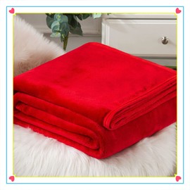 Velvet Blanket Bed Soft Blankets and Throws King Size Queen Full Size Summer Lightweight Blanket for Bed Fluffy Fleece Blanket Throw for Couch/Sofa/Recliner Decor (Color : Red, Size : 59x79inch)