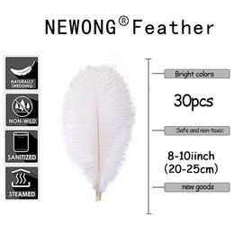 NEWONG 30pcs White Ostrich Feathers Natural Bulk 8-10inch(20-25cm) Vase Craft Wedding Home Party Centerpieces Christmas Day Decoration