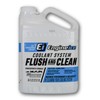 Engine Ice Flush and Clean and Motorcycle Combo Kit, 2