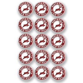 Destination Vinyl Ltd A4 Sheet - 15 x North Pole Air Mail Stickers Christmas Kids Reindeer #6603 (A4 Sheet - 5cm x 5cm Stickers)