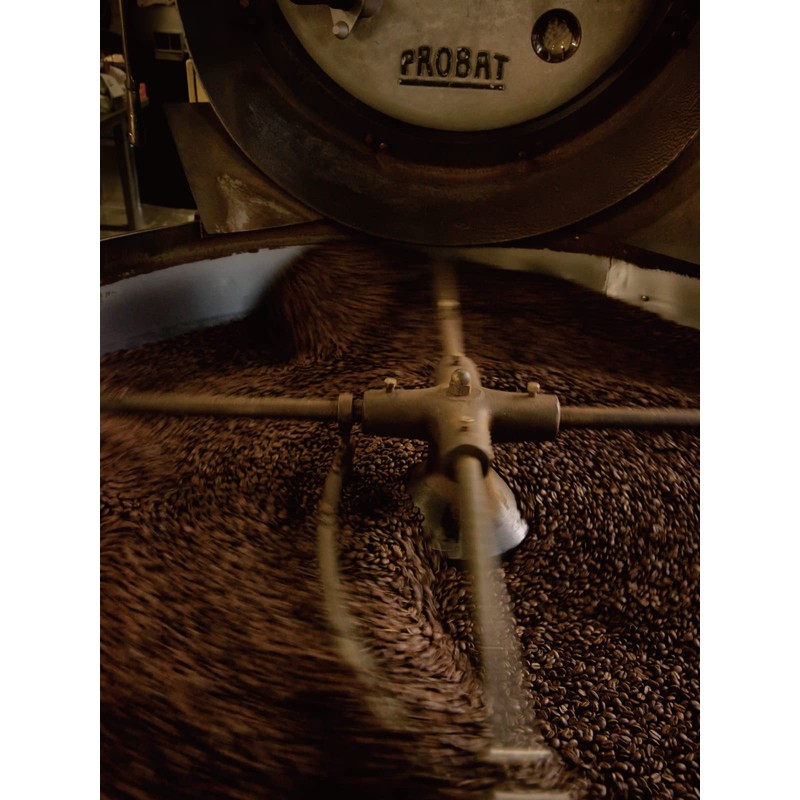 Shogun Coffee Beans 17.6 oz (500 g) Souza Coffee, Regular