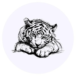 24 x 40mm Round 'Cute Sleepy Tiger Cub Sketch' Stickers (SK00067439)