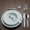 Alessi Itsumo Dessert spoon, steel