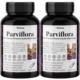 Earthville Fabiflora Black Ginger 10x Concentrated Extract 500mg 120 Veg Capsules 2 Bottles / 어스빌 파비플로라 흑생강 블랙진저 10배농축 추출물 500mg 120베지캡슐 2병