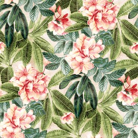 Tommy Bahama - Premium Peel and Stick Wallpaper, Designer Tropical Wallpaper for Bedroom, Dorm Room Essentials, Self Adhesive, Vinyl, 30.75 Sq Ft Coverage (Darwin Flora Collection, Shell)