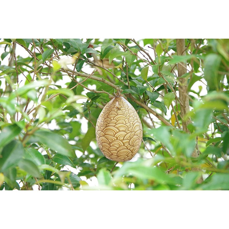 Beehive Guard Before Hornet's Nest