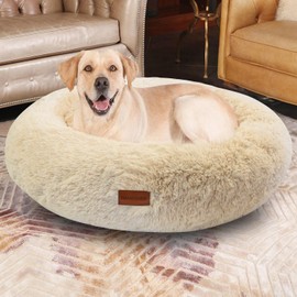 HANESHER Dog Bed for Large and Medium Dogs – Orthopaedic Memory Foam, Ultra-Soft Plush, Non-Slip Base – Anti-Stress Bed for Dogs and Cats (Beige)